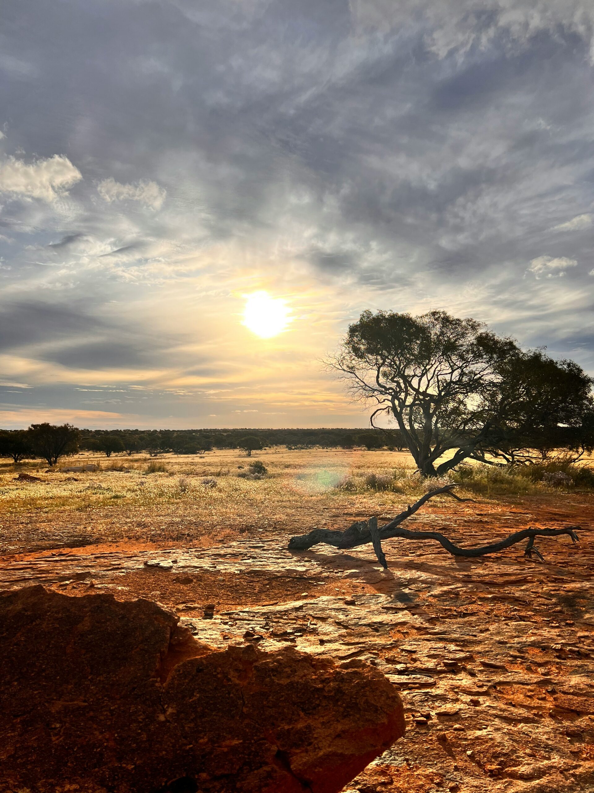 Peaceful natural landscape representing calm, emotional wellbeing, and anxiety recovery.